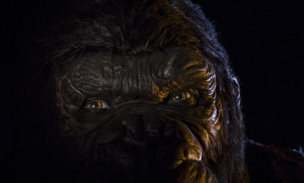 Review: Kong – A Ilha da Caveira