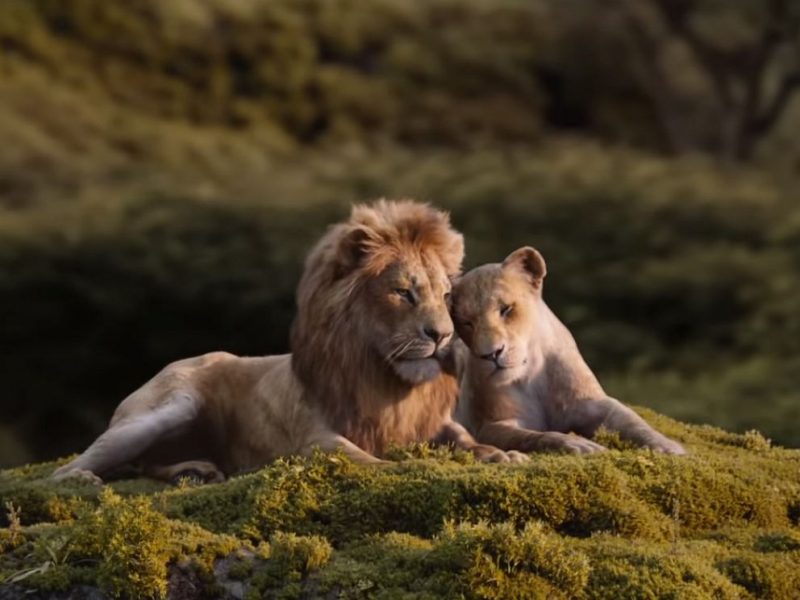 ‘O Rei Leão’ surpreende e se torna a 9º maior bilheteria do cinema