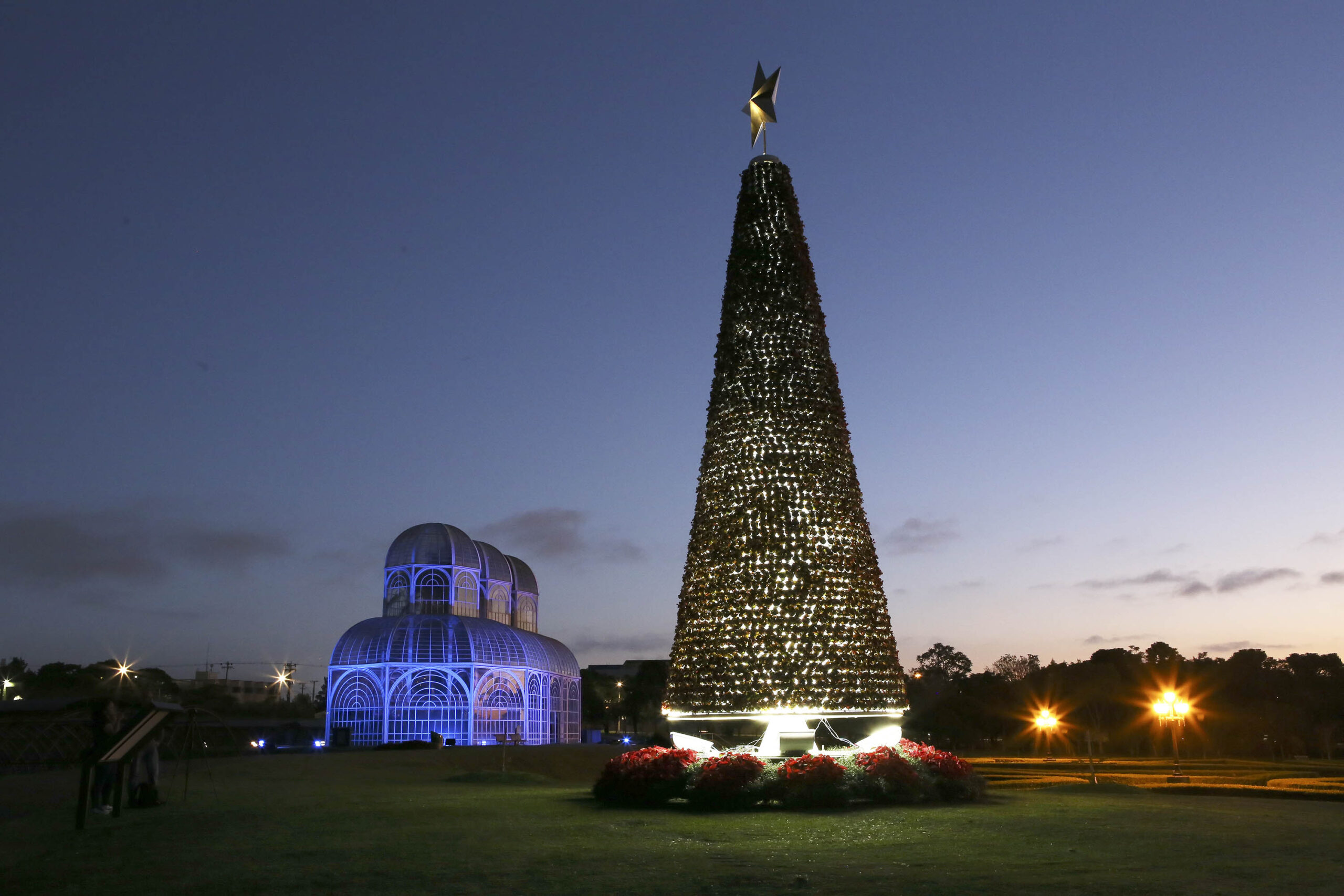 Árvores de Natal iluminam Curitiba: veja onde admirar a decoração da cidade