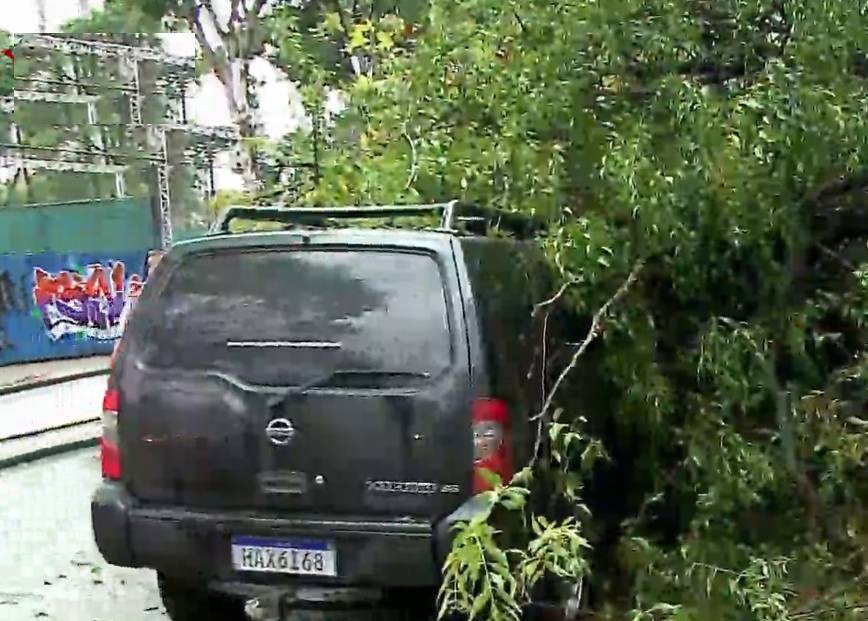 Galhos de árvores caíram sobre os carros ao lado do Passeio Público durante o temporal na capital. 