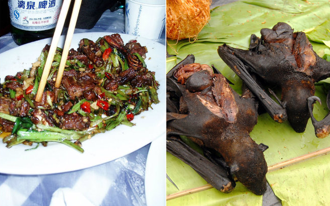 Ratos, cachorros, morcegos, insetos: conheça os pratos estranhos da China