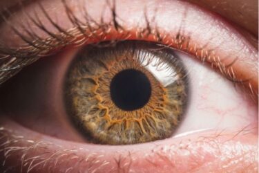 Doenças podem se revelar por meio de alterações nos olhos