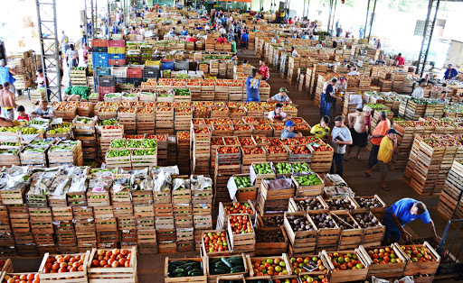 Ceasa Curitiba: cotação, Mercado de Flores e produtos