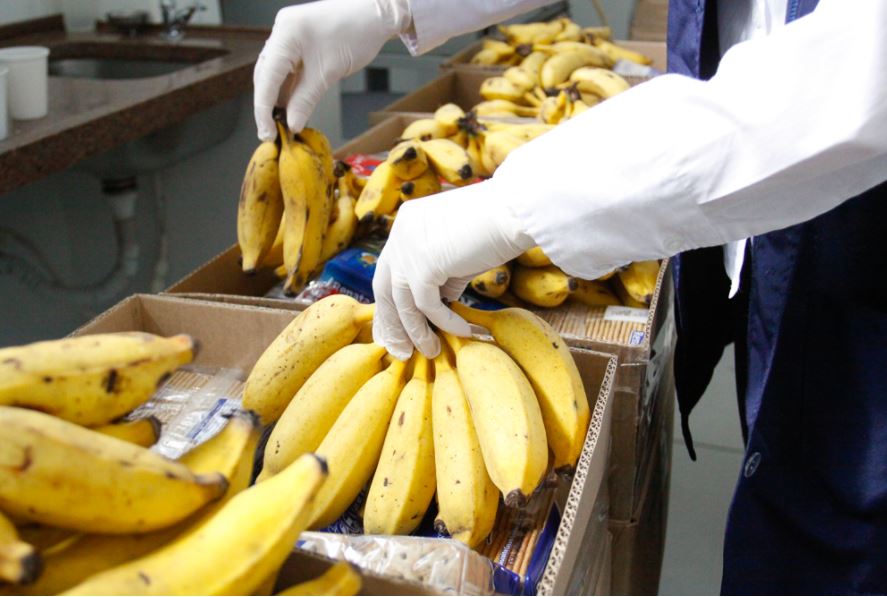 Pesquisa feita pela UEPG aponta queda no preço da banana em abril