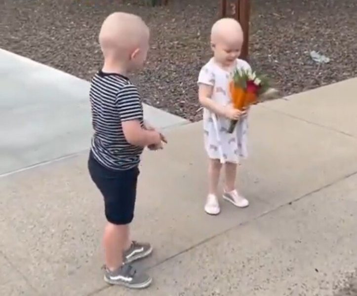 Crianças se reencontram após ficarem amigas durante tratamento contra o câncer; assista