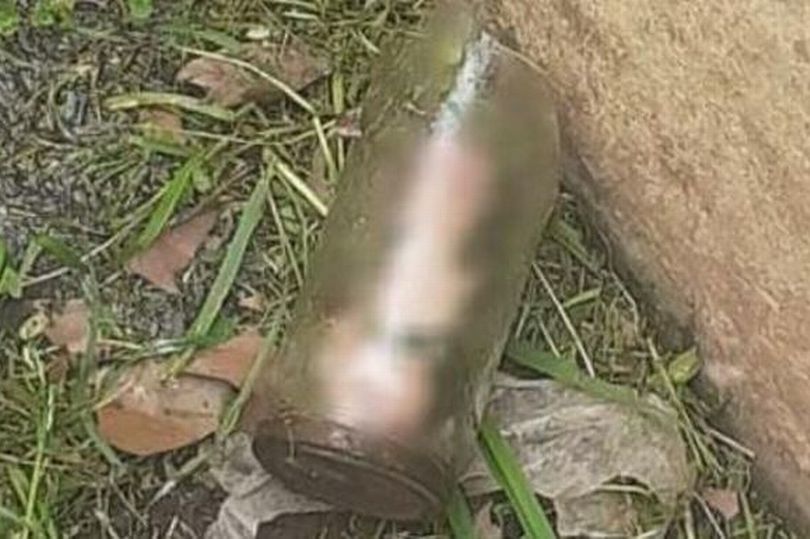 Homem encontra pote com pênis decepado no jardim da casa da mãe