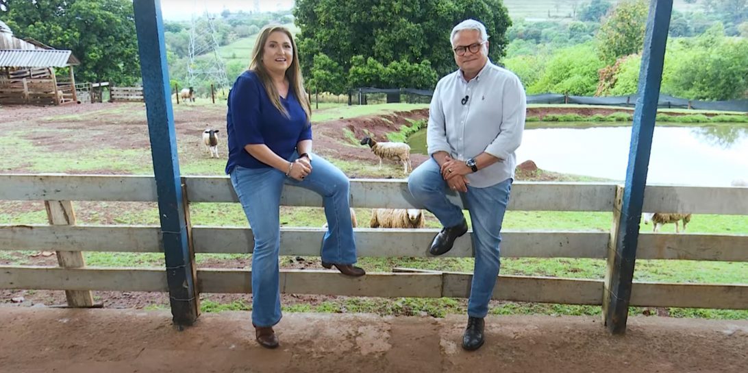 Mamão gigante, receita de joelho de porco e internet no campo são alguns destaques do RIC Rural