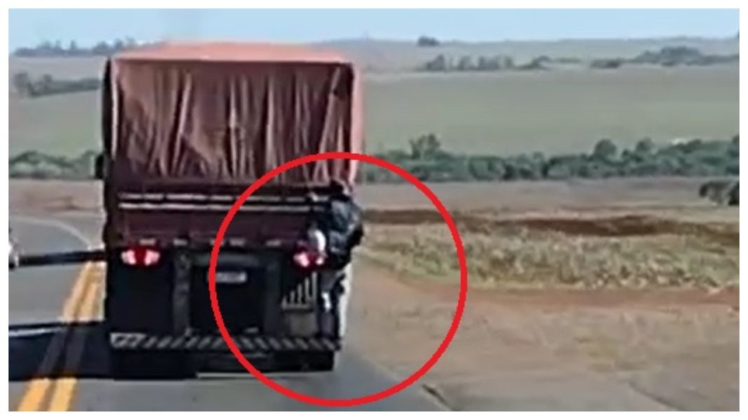 Vídeo mostra homem “pegando carona” na traseira de carreta no Oeste do PR