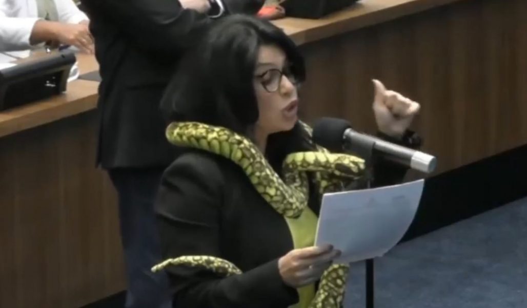 Deputada aparece em sessão de assembleia com cobra de pelúcia no ombro