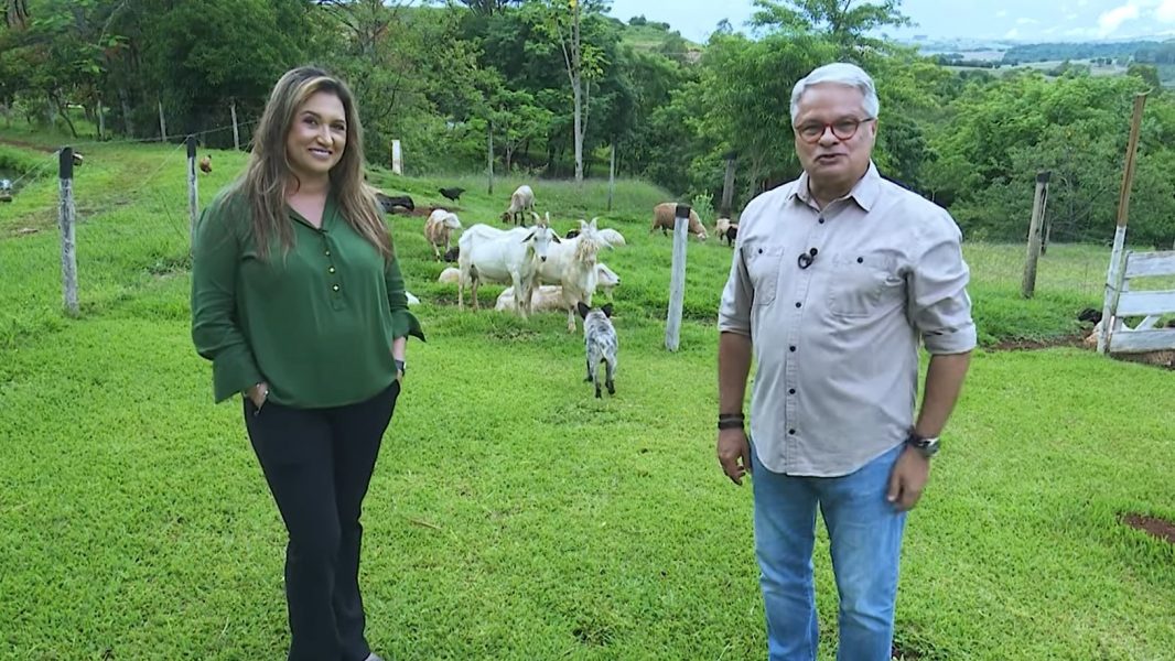 RIC Rural fala sobre Integração Lavoura, Pecuária e Floresta; assista