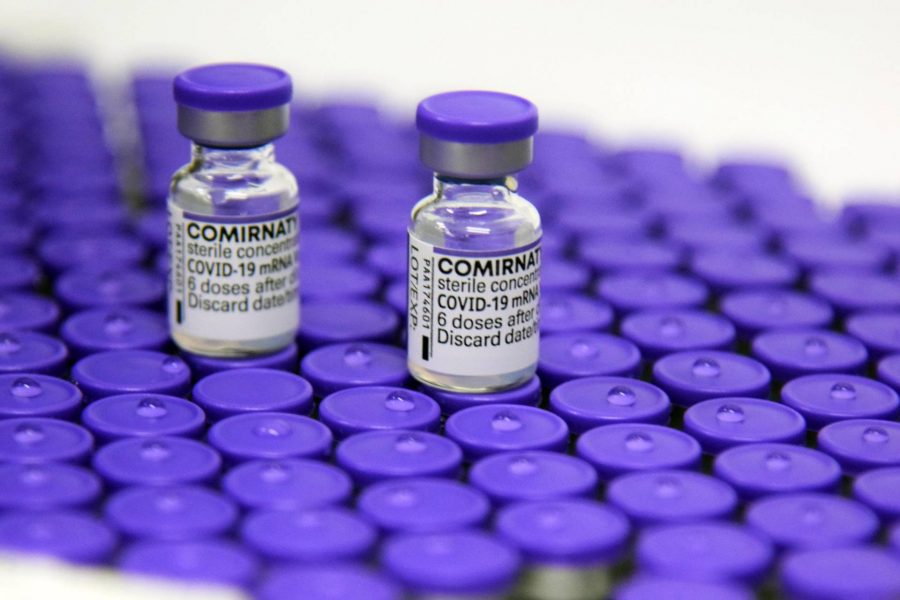 TCE-PR recomenda medidas para melhorar vacinação contra a Covid-19