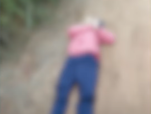 Corpo de homem baleado e com as mãos amarradas é encontrado em Curitiba