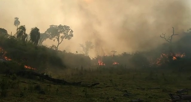 Vídeo: Incêndio em áreas ambientais corre o risco de atingir 25 casas em Quedas do Iguaçu