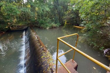 Com oito cidades em alerta de abastecimento, Sanepar orienta sobre uso da água