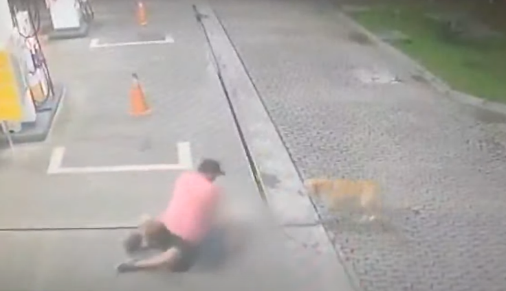Vídeo mostra homem espancado pelo melhor amigo em São José dos Pinhais
