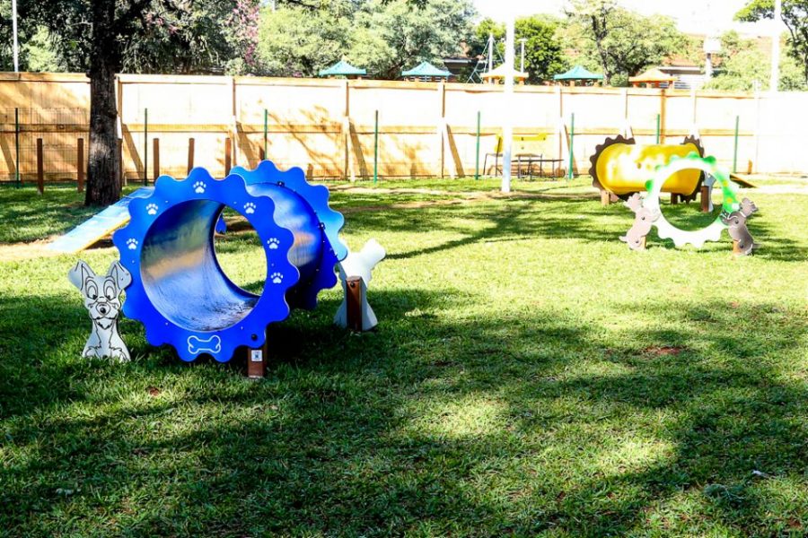 ParCão, espaço de lazer para pets, será inaugurado neste sábado em Maringá
