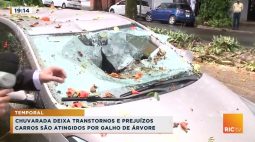 Chuvarada deixa transtornos e prejuízos: carros são atingidos por galho de árvore