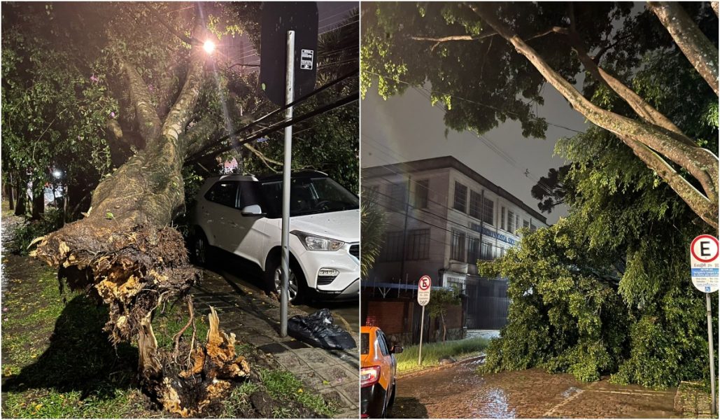 Chuva forte com vento em Curitiba causa queda de árvores e alagamentos