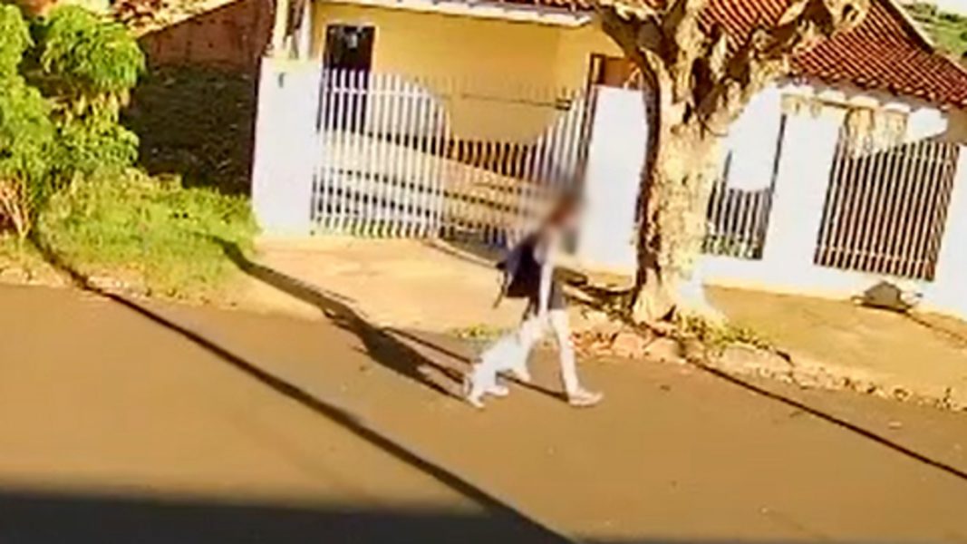 Câmera de segurança flagra mulher arrastando cachorro pelo pescoço em rua