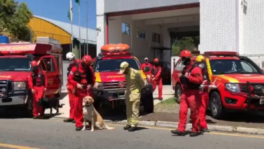Governo nega que bombeiros do PR foram esquecidos em aeroporto do RJ