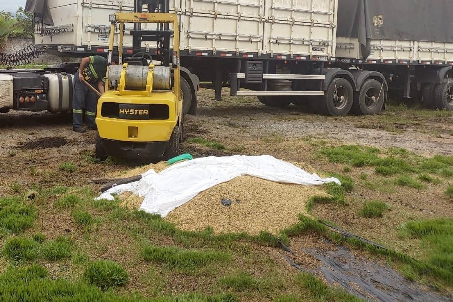 Seis pessoas são presas por desviar 35 toneladas de cevada e insumos agrícolas o litoral