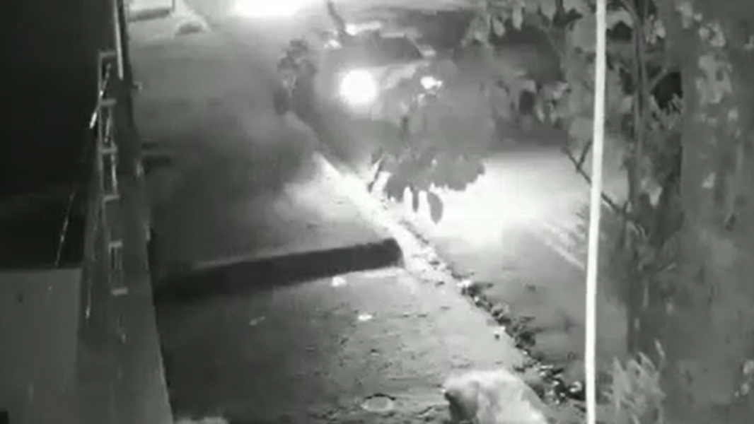 Câmera registra momento em que vigilante é atropelado e arremessado contra árvore, em Londrina