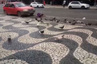 Vídeo: morador em situação de rua é atropelado no Centro de Ponta Grossa