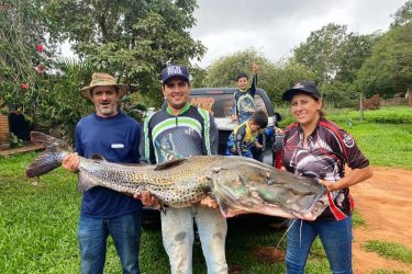 Família pesca pintado de quase 44 kg no Rio Paraná