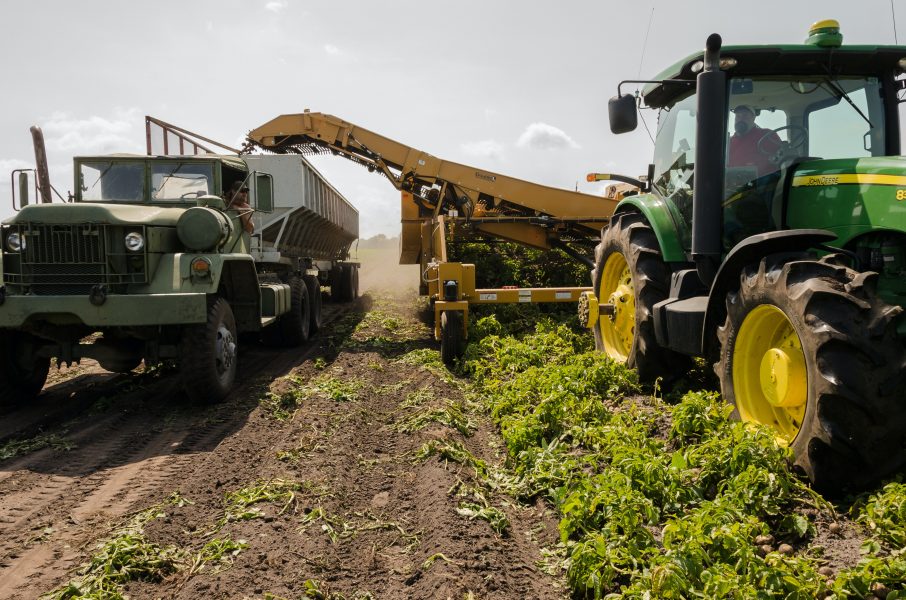Empresa do norte do PR tem R,2 milhão em produtos agrícolas furtados