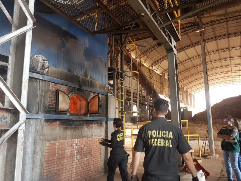 Mais de 2 toneladas de drogas são destruídas em Foz do Iguaçu