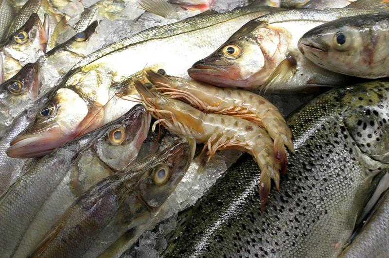 Semana Santa: pontos temporários de venda de pescados começam na quarta (13)