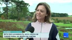 Palmeira: rota das lavandas é a nova opção de turismo rural na região de Curitiba
