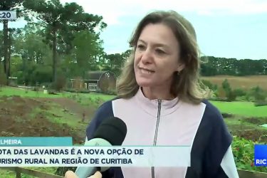Palmeira: rota das lavandas é a nova opção de turismo rural na região de Curitiba