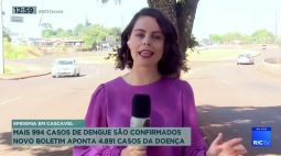 Mais de 994 casos de Dengue são confirmados em Cascavel