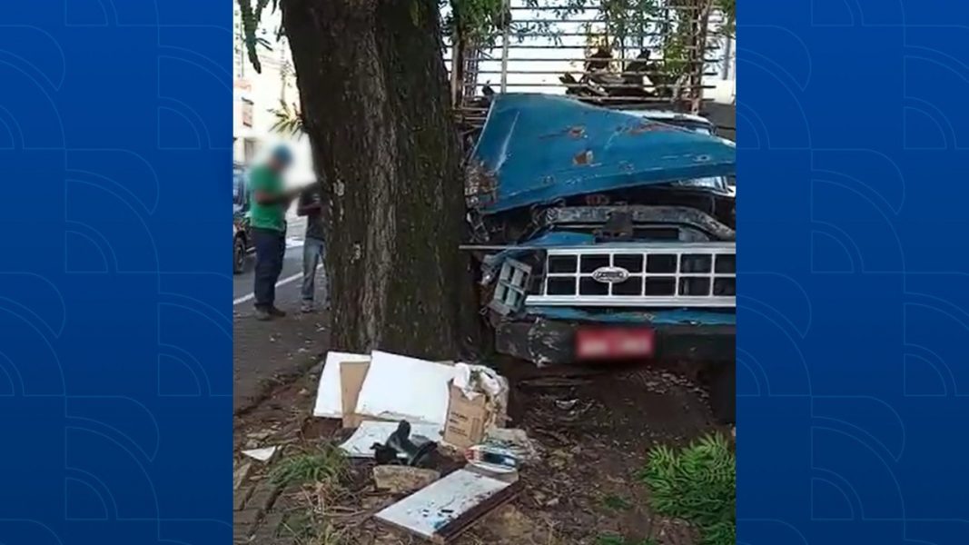 Caminhão perde freio e atinge árvore do centro de Londrina