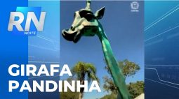 Girafa Pandinha eternizada: obra de 4 metros de altura está no zoo de Curitiba