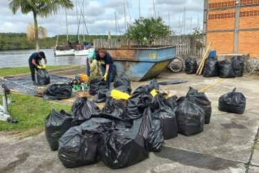 Mais de 4 toneladas de resíduos são retiradas de manguezais em Paranaguá