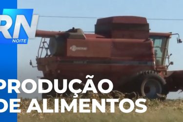 Produção de alimentos: Paraná bateu recordes no ano passado