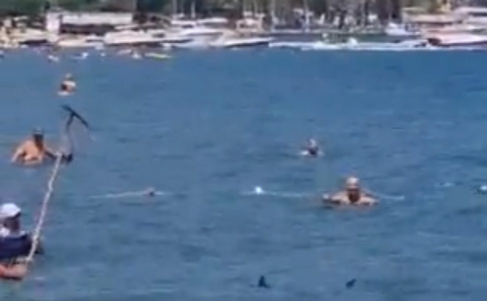 VÍDEO: Banhistas batem em tubarão para proteger crianças