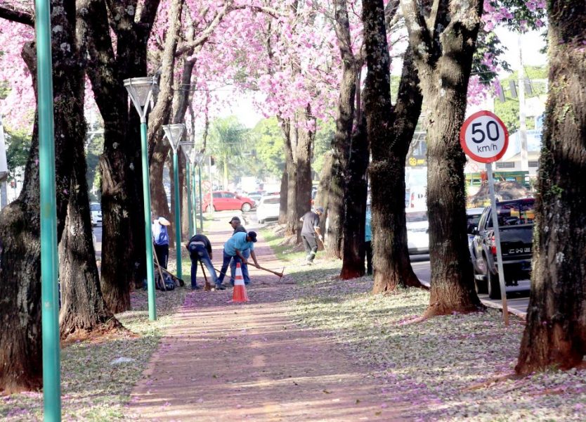 Prefeitura de Maringá inicia reforma de ciclovia na avenida Mandacaru