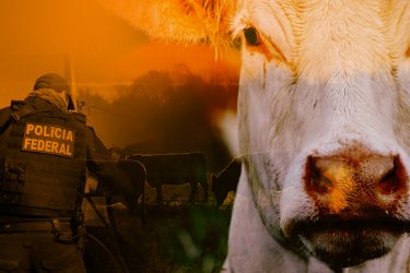 ESPECIAL: Comércio ilegal de gado argentino ameaça saúde do rebanho brasileiro