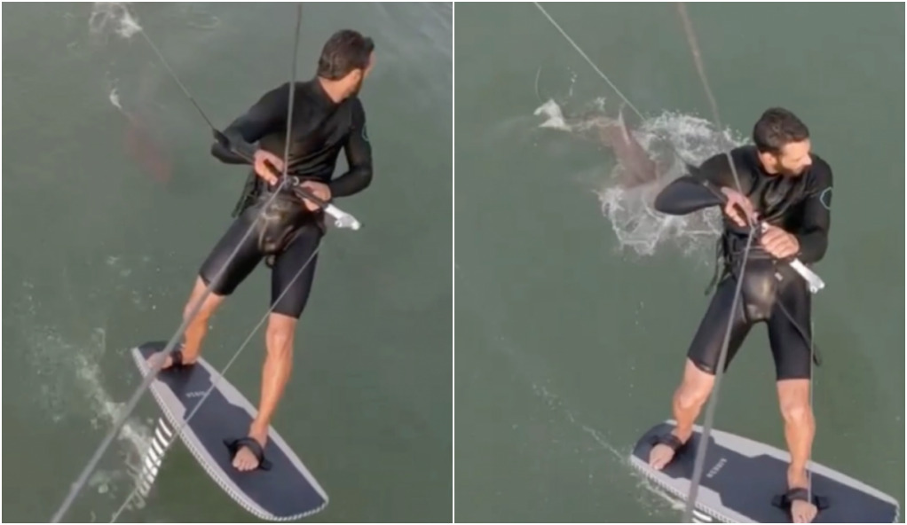 VÍDEO: Homem é perseguido por tubarão enquanto pratica esporte