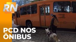 Pessoas com deficiência nos ônibus: Curitiba permite entrada com cães de serviço