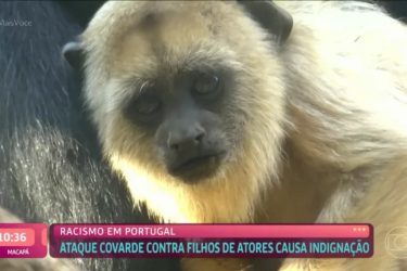Ana Maria Braga demite funcionário por exibir imagem de macacos; entenda