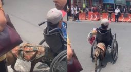 Cãozinho ajuda dono cadeirante atravessar a rua e emociona web; assista