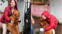 Cãozinho de circo roubado reencontra familiares; assista ao vídeo emocionante