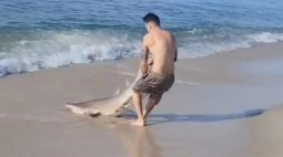 Corajoso: homem captura tubarão com as mãos para libertá-lo de anzol; assista