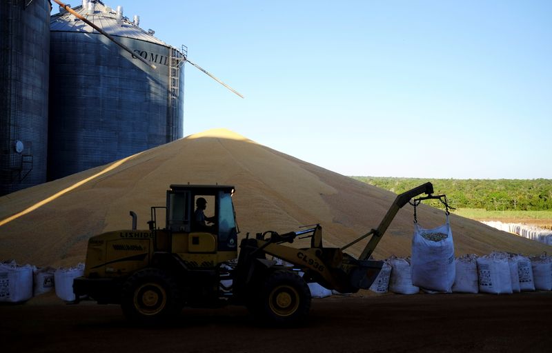 Brasil vê onda de ‘washouts’ em contratos de milho e exportações ficam ameaçadas
