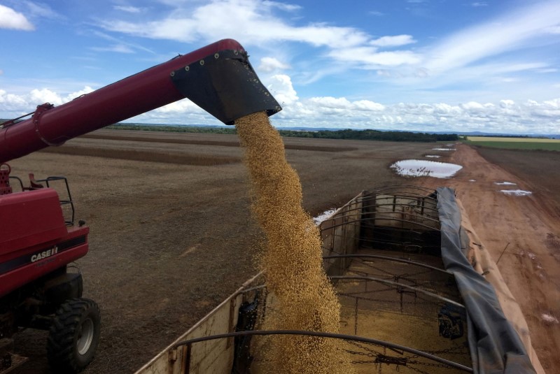 Agência marítima passa a ver alta na exportação de soja do Brasil em agosto