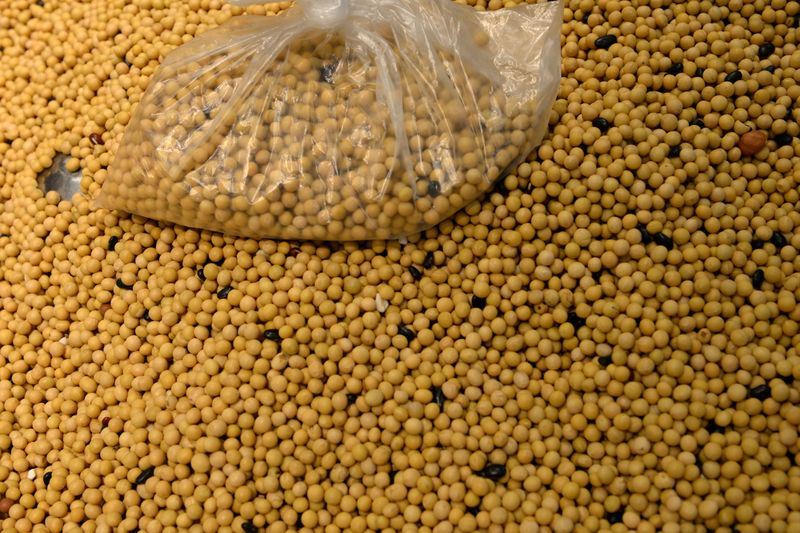 EUA vendem 132 mil t de soja para China e 722,75 mil t a destinos desconhecidos para 21/22